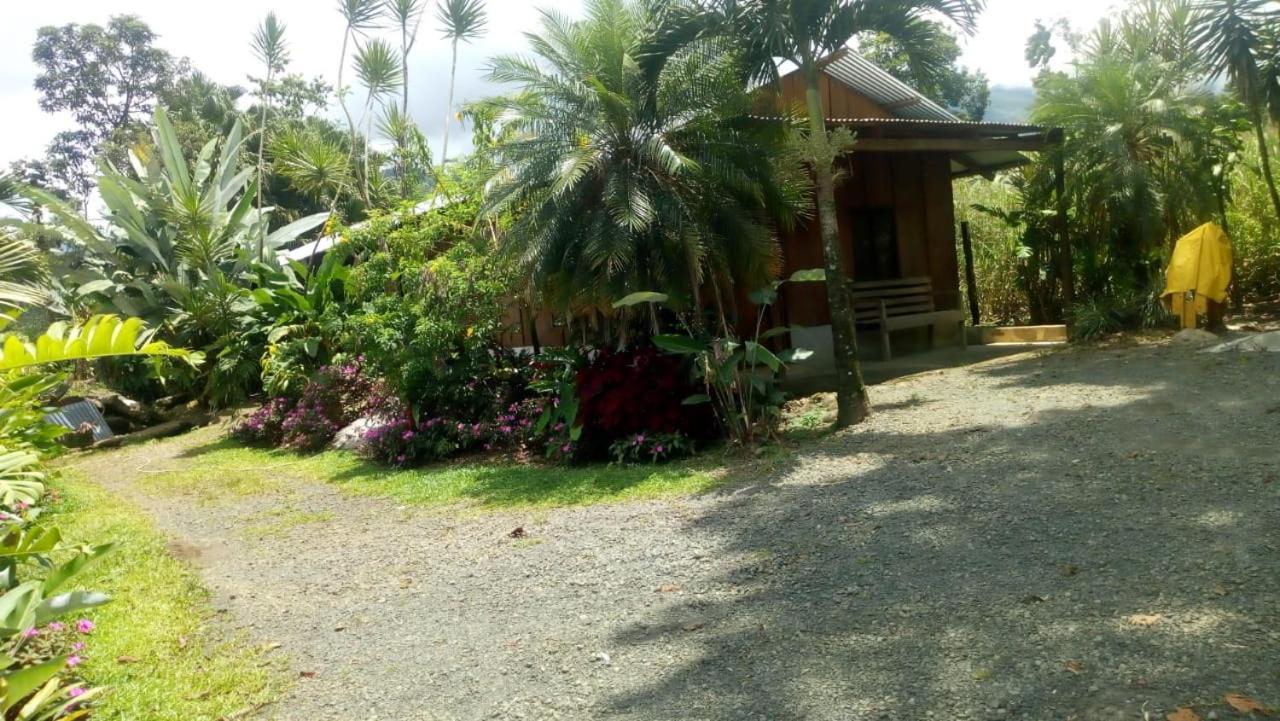 Posada Rio Celeste In Bed and Breakfast Εξωτερικό φωτογραφία